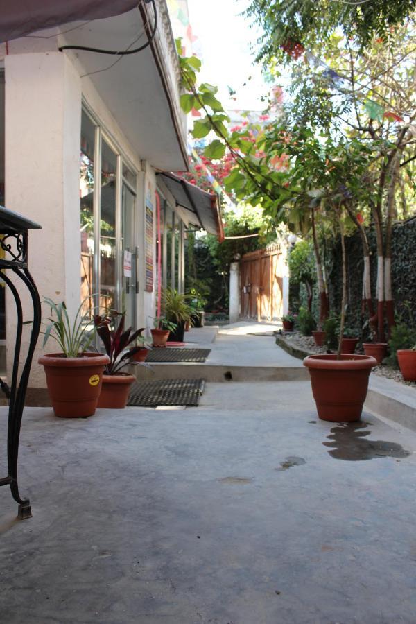 Hostel Himalaya كاتماندو المظهر الخارجي الصورة